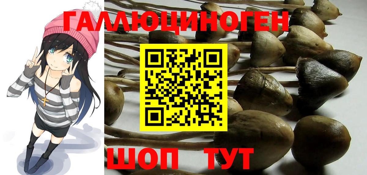 Вольск  Галлюциногенные грибы MAGIC MUSHROOMS  Вход с VPN 