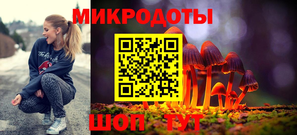 Галлюциногенные грибы Cubensis Вольск